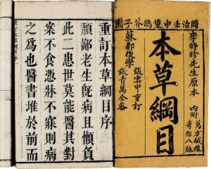 【貓豆腐】豆腐不僅是素食界最重要的食材，也是藥材